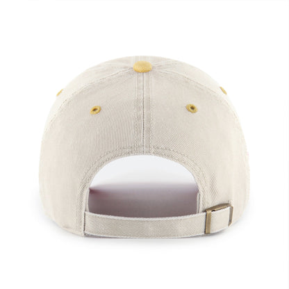 MINNESOTA VIKINGS BREAKING TRAIL '47 CLEAN UP