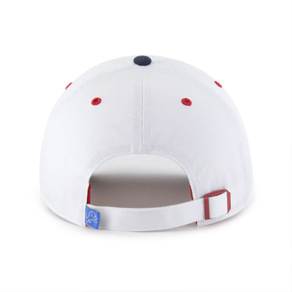 DETROIT LIONS PATRIOTIC FLAG FILL '47 CLEAN UP