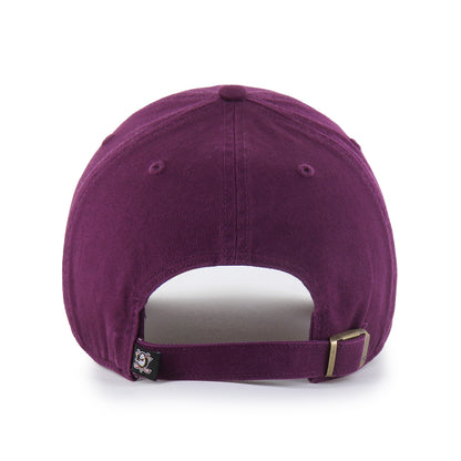 ANAHEIM DUCKS '47 CLEAN UP